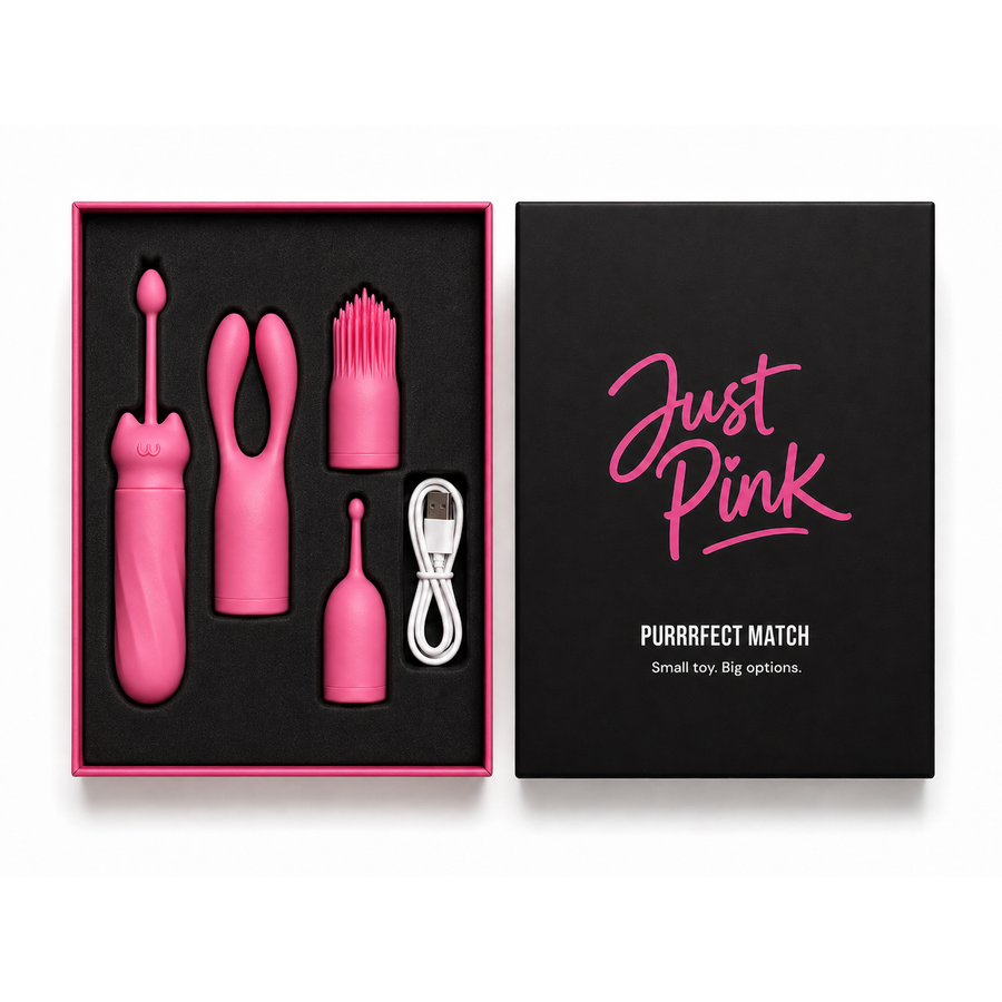 Purrrfect Match verpakking: de open doos met bullet, drie opzetstukken en USB-kabel