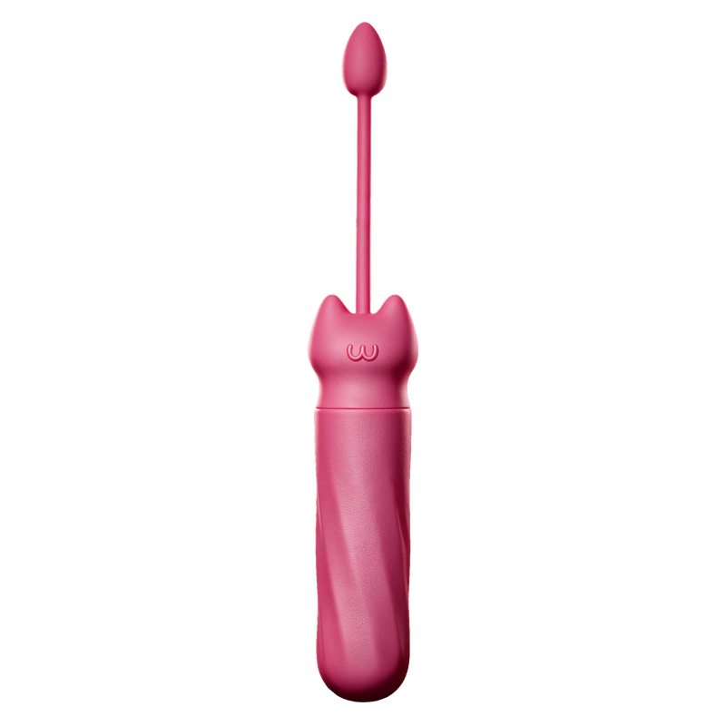 De compacte bullet van Purrrfect Match met terugtrekkoord